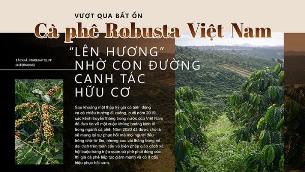 Future Farm Nâng Cao Giá Trị Cà Phê Robusta Và Đẩy Mạnh Nhu Cầu Cà Phê Việt Nam Trên Toàn Cầu