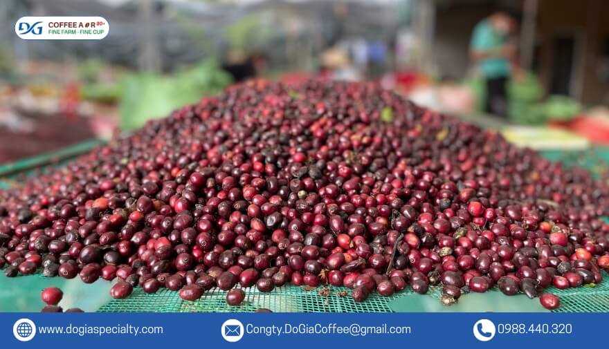 Lựa chọn cà phê làm quà tặng không chỉ thể hiện sự trân trọng
