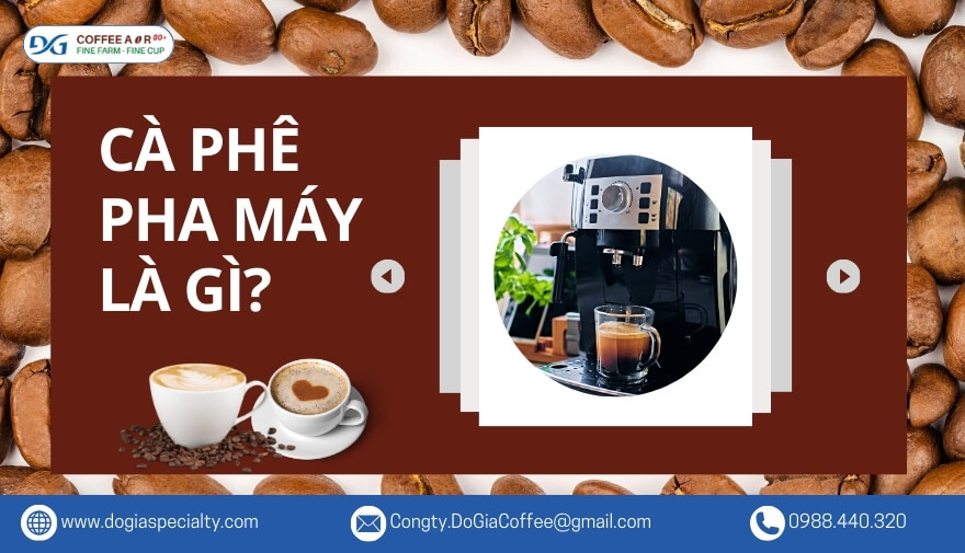 Cà Phê Pha Máy Là Gì? Tại Sao Cà Phê Pha Máy Lại Được Nhiều Người Yêu Thích? | Đỗ Gia Specialty