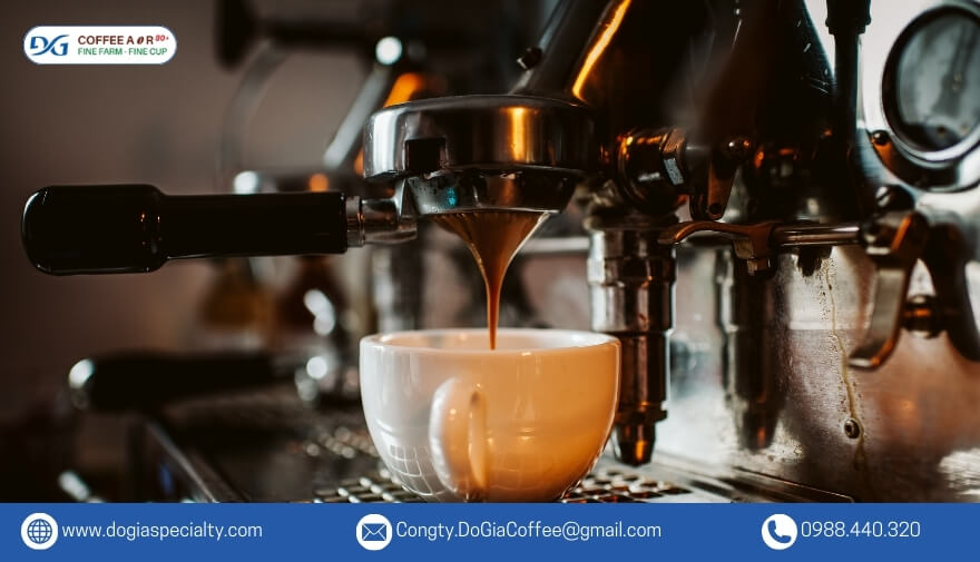 Cà phê Robusta có hương thơm mạnh mẽ, ngọt ngào và hàm lượng caffeine cao, lý tưởng cho những người có sở thích mạnh mẽ.