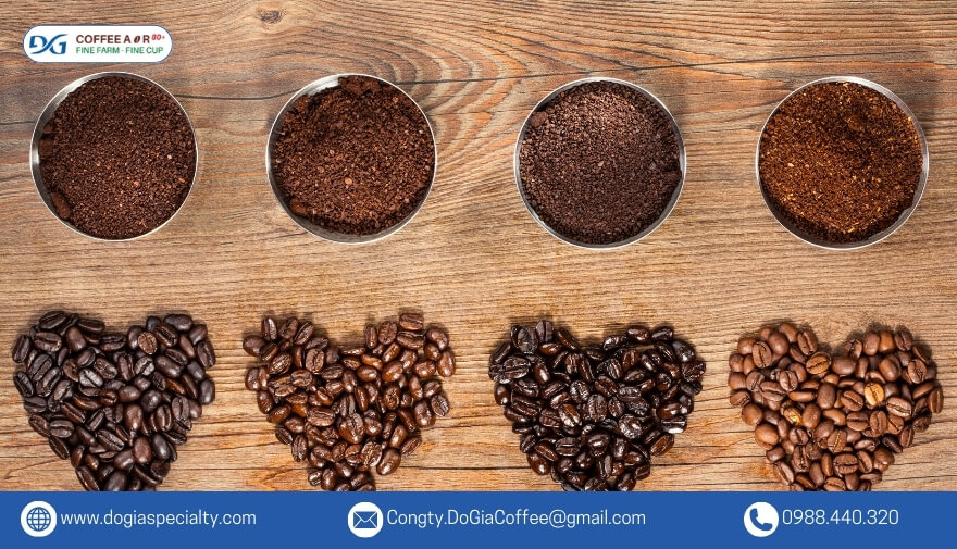 Hạt cà phê Robusta có hình tròn và nhỏ hơn so với các loại hạt cà phê khác. Hàm lượng caffeine của Robusta dao động từ 2 đến 4%