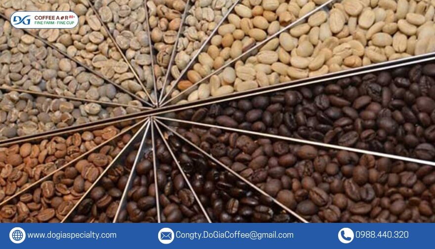 Các loại cà phê Robusta được phân loại dựa trên kích thước sàng