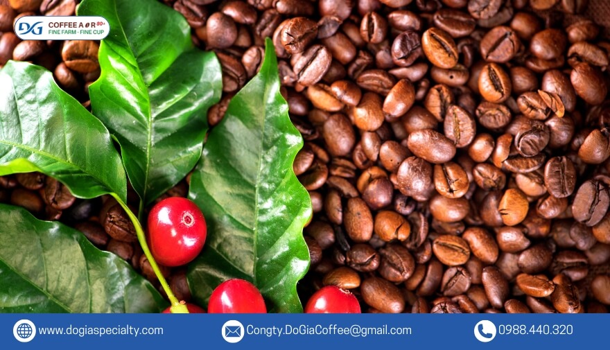 Cà phê được rang xay đúng kỹ thuật sẽ giữ trọn hương vị nguyên bản và đảm bảo chất lượng tốt nhất.