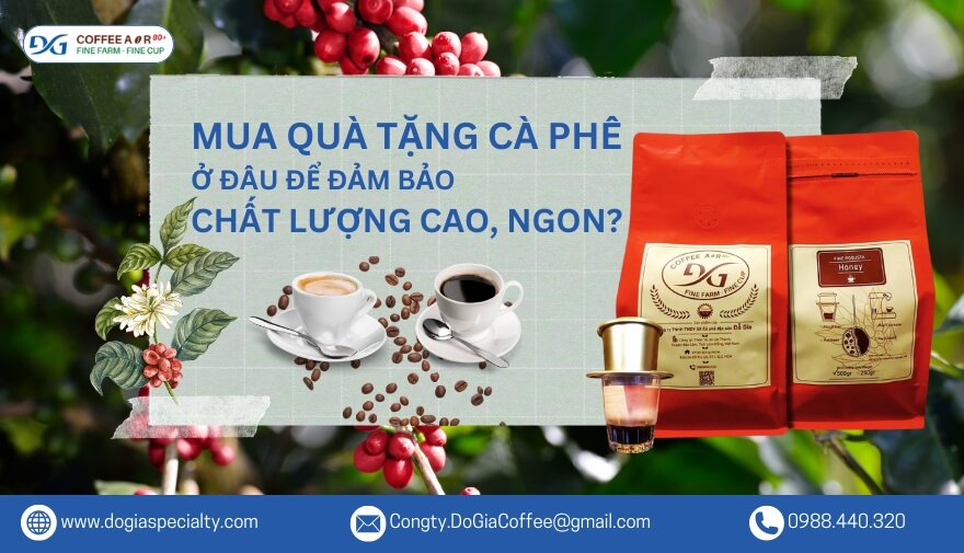 Mua Quà Tặng Cà Phê Ở Đâu Để Đảm Bảo Chất Lượng Cao, Ngon, Uy Tín, Sang Trọng, Giá Tốt? | Đỗ Gia Specialty
