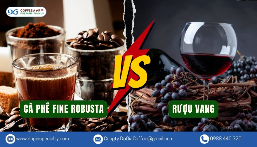Cà phê này giúp tăng cường sức đề kháng, duy trì sự tỉnh táo và hỗ trợ hoạt động của não bộ