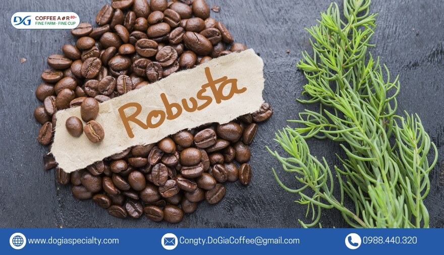 Với thiết kế sang trọng và tinh tế, cà phê Fine Robusta dễ dàng được đóng gói theo yêu cầu