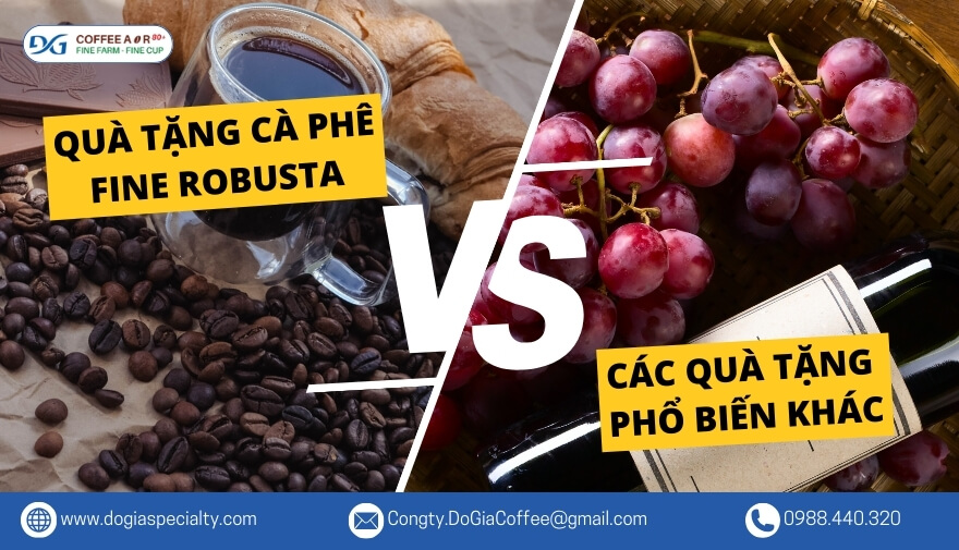 So Sánh Quà Tặng Cà Phê Fine Robusta Với Các Loại Quà Tặng Phổ Biến Khác Có Gì Tốt Hơn? | Đỗ Gia Specialty