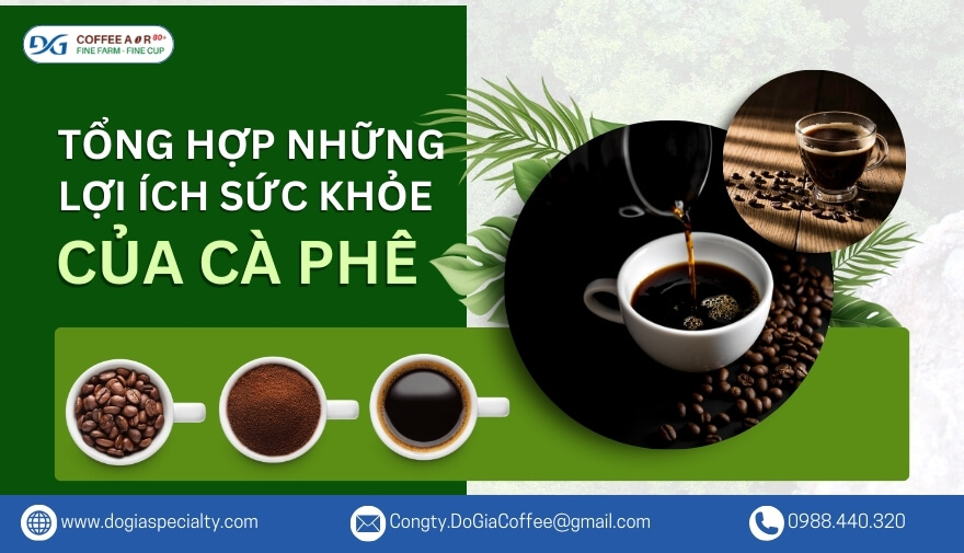 Tổng Hợp 19 Lợi Ích Sức Khỏe Của Cà Phê Ít Người Biết Dựa Trên Khoa Học | Đỗ Gia Specialty