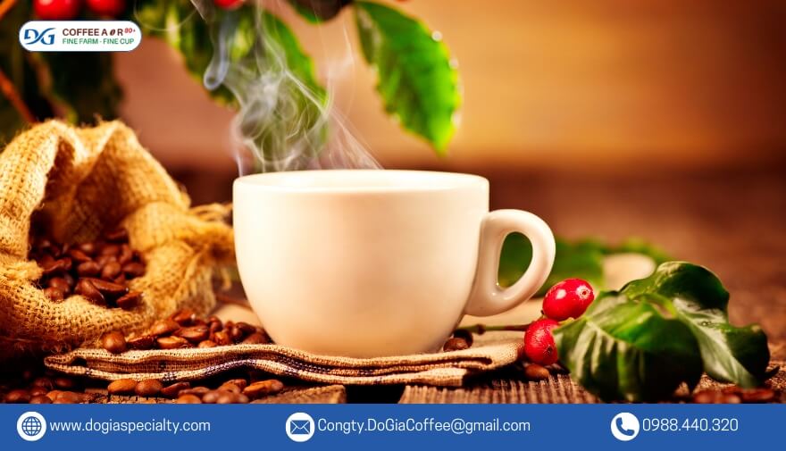 Cà phê Fine Robusta là món quà tặng ý nghĩa chất lượng cao dành cho người thân, đối tác, bạn bè