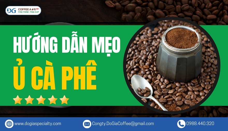 Những Mẹo Ủ Cà Phê Thơm Ngon Đậm Đà Không Phải Ai Cũng Biết | Đỗ Gia Specialty