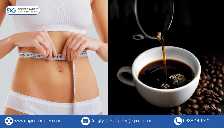 Trong cà phê có chứa thành phần caffeine có tác dụng thúc đẩy quá trình trao đổi chất, đốt cháy calo trong cơ thể.