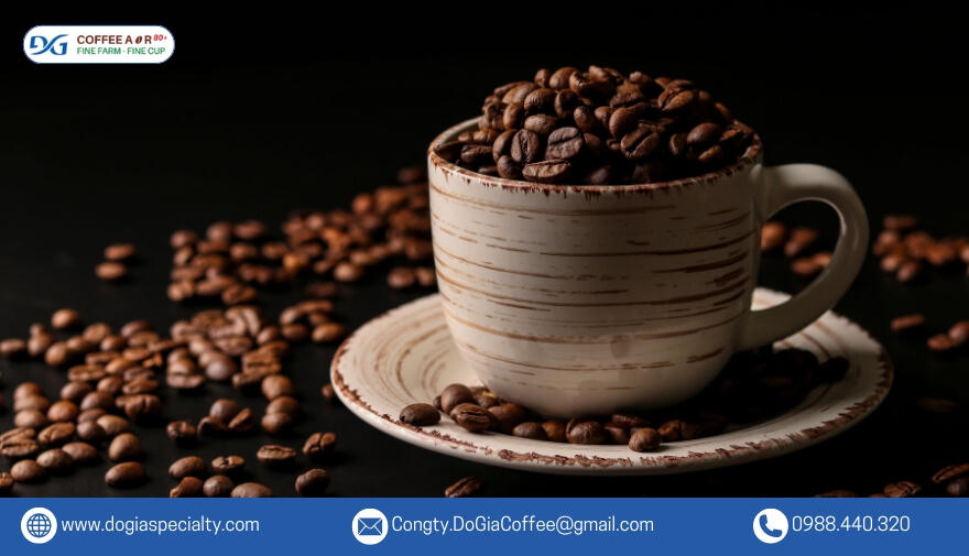 Cà phê Robusta giúp nâng cao tuổi thọ