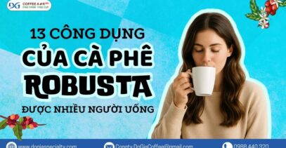 13 Công Dụng Của Cà Phê Robusta Được Nhiều Người Uống Hằng Ngày | Đỗ Gia Specialty