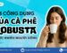 13 Công Dụng Của Cà Phê Robusta Được Nhiều Người Uống Hằng Ngày | Đỗ Gia Specialty
