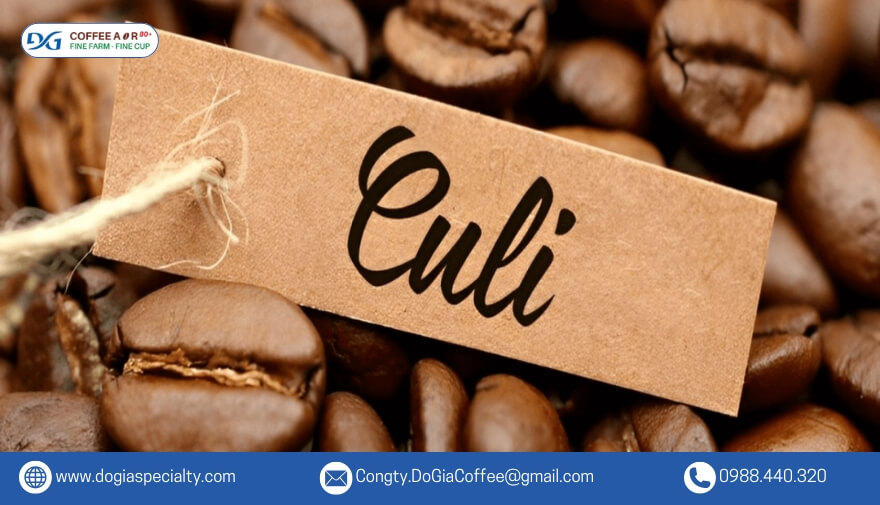 Hạt cà phê Culi chỉ có 1 nhân dạng hình tròn như hạt đậu.