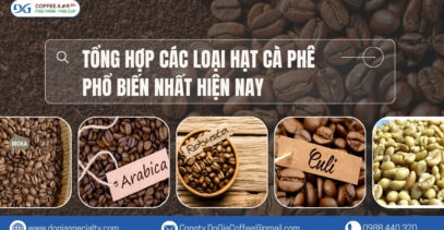 Các Loại Hạt Cà Phê: Khám Phá Sự Phong Phú Và Tinh Tế Trong Từng Loại Hạt | Đỗ Gia Specialty