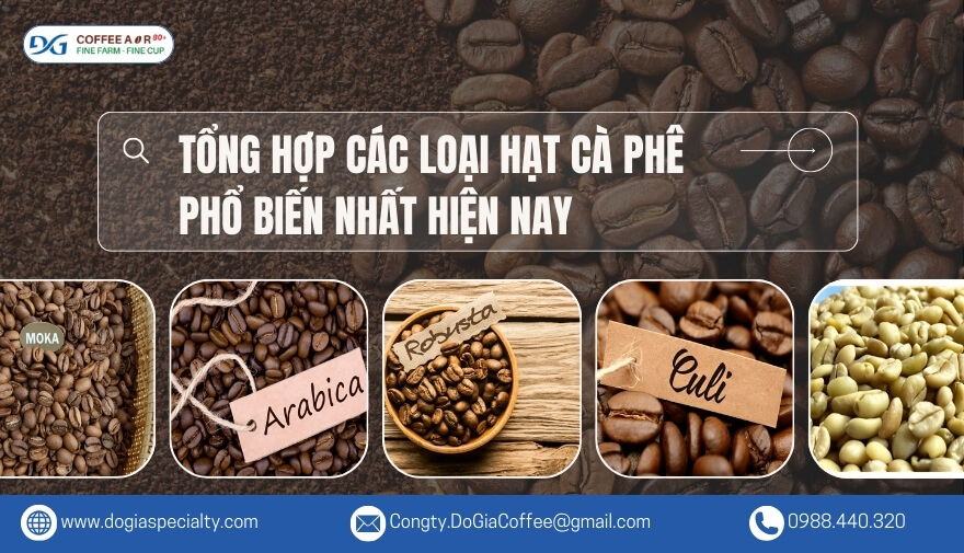Các Loại Hạt Cà Phê: Khám Phá Sự Phong Phú Và Tinh Tế Trong Từng Loại Hạt | Đỗ Gia Specialty